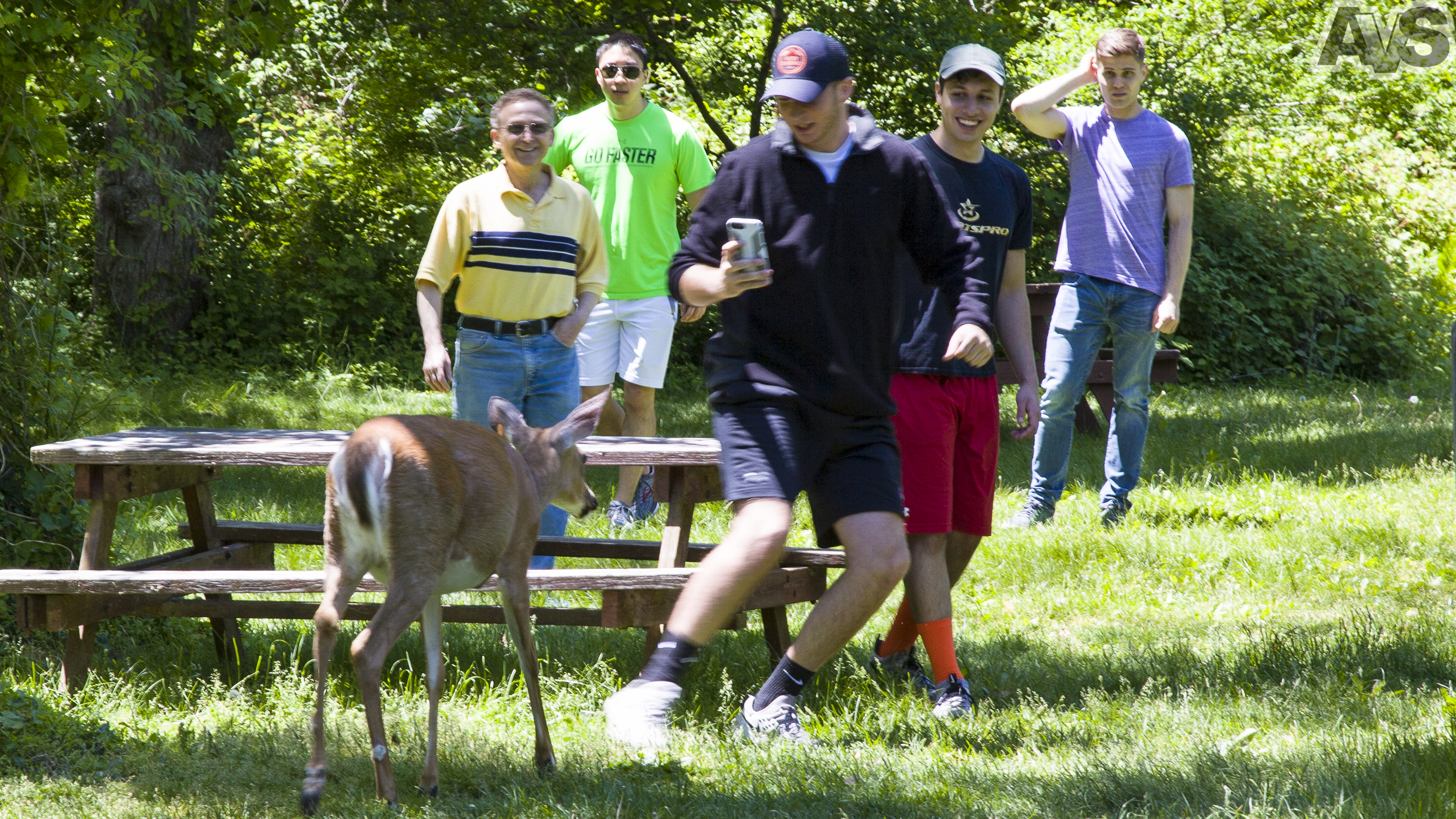 Mildred the Deer scaring off some kids